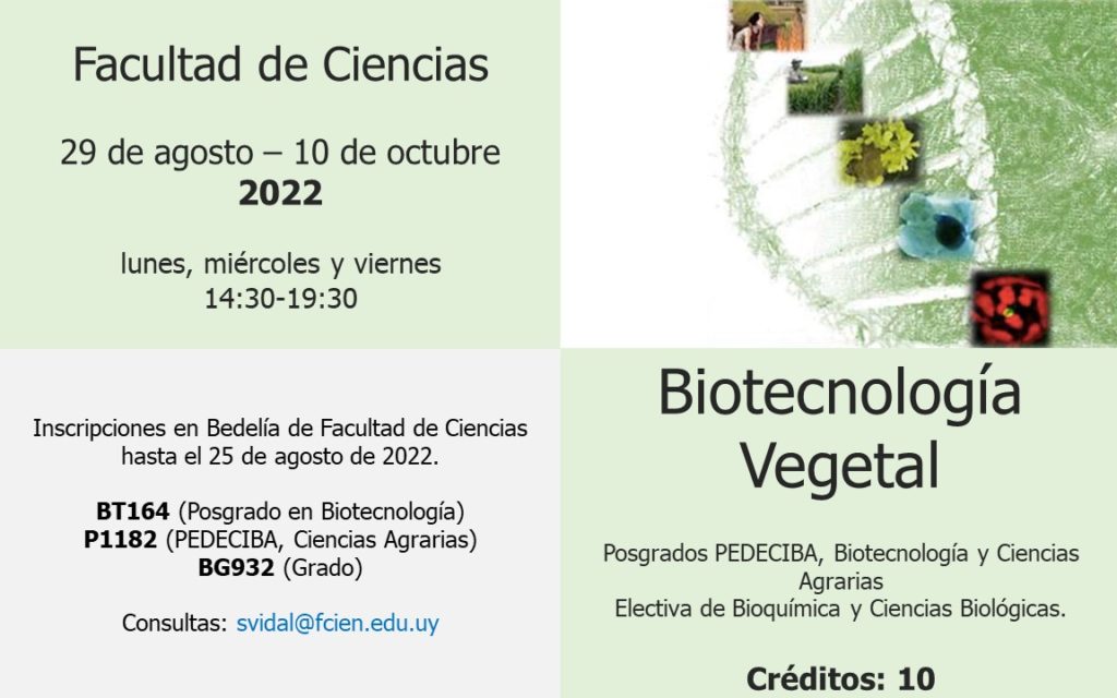 Curso Biotecnolog A Vegetal Laboratorio De Biolog A Molecular Vegetal